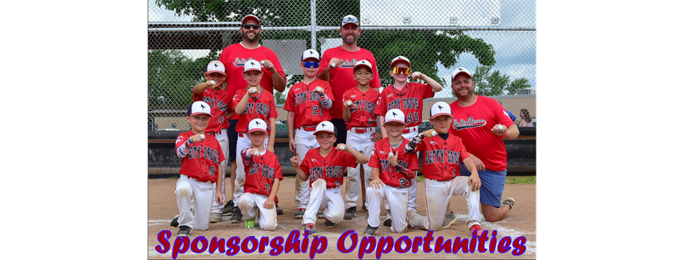 Sponsorship Opportunities